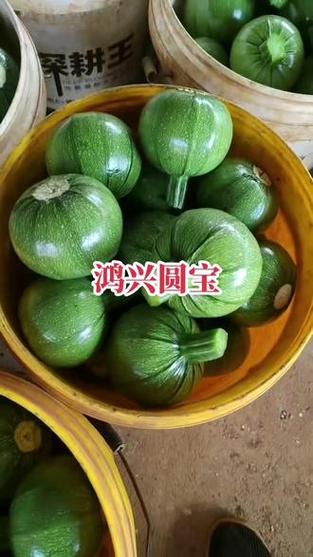 抖音助农  #三农  #新农人计划  #优质农产品  #源头实力厂家